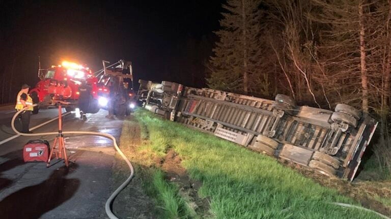 Tractor-trailer hauling 15 million bees rolls over in central Maine